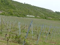 2015 Wein 175